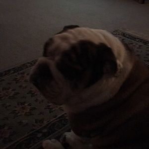 Meet your Posher, Sharon